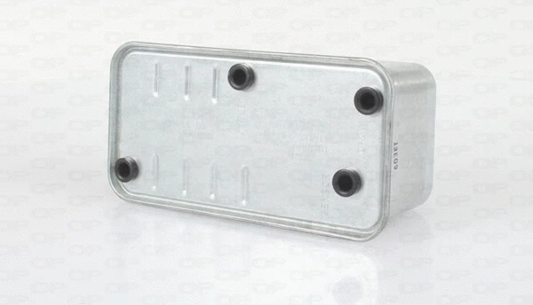 Fuel Filter (EFF5224.10)