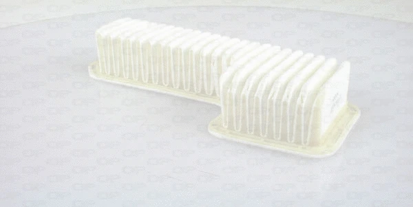 Air Filter (EAF3519.10)