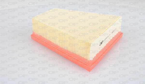 Air Filter (EAF3119.10)