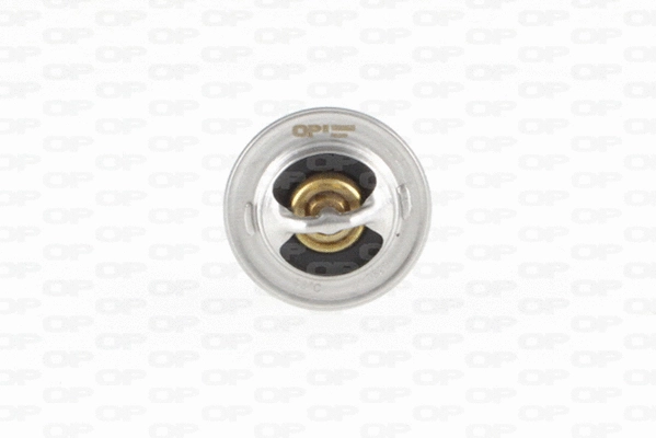 Thermostat, coolant (TRM1015.00)