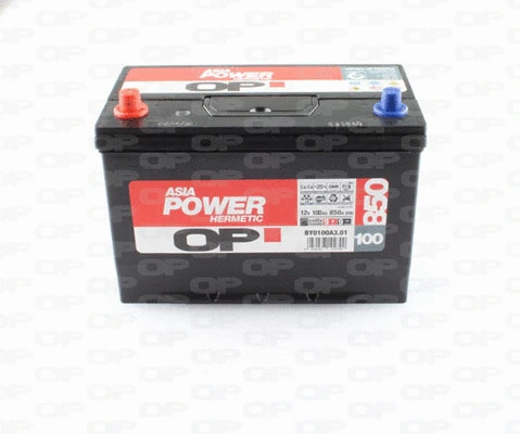 Starter Battery (BY0100A3.01)