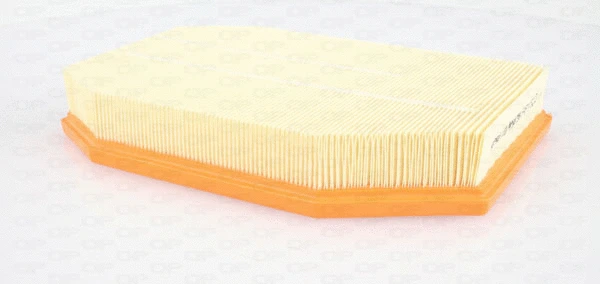Air Filter (EAF3452.10)
