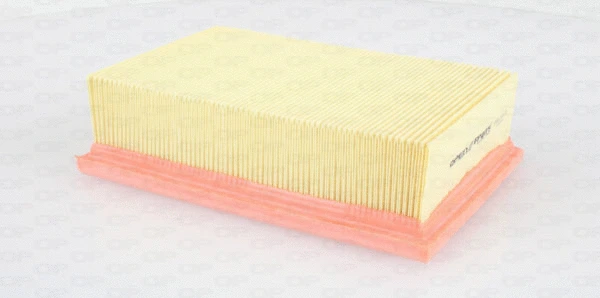 Air Filter (EAF3364.10)