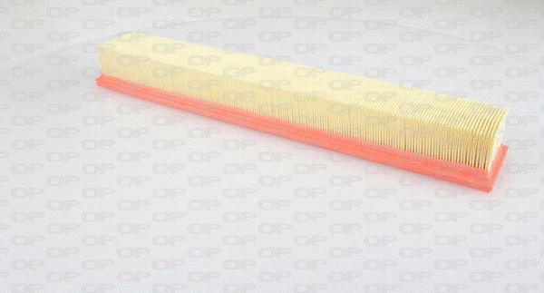 Air Filter (EAF3259.10)