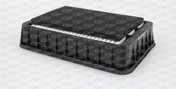 Air Filter (EAF3339.10)