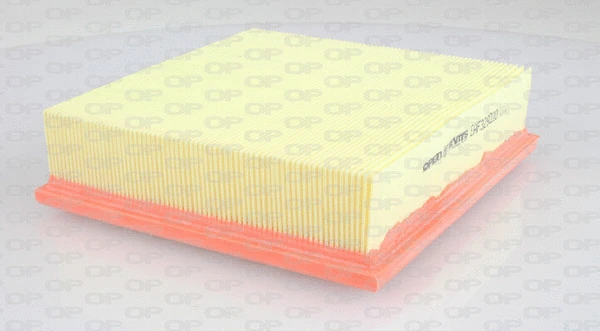 Air Filter (EAF3290.10)