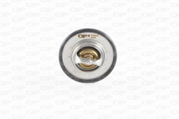 Thermostat, coolant (TRM1001.00)