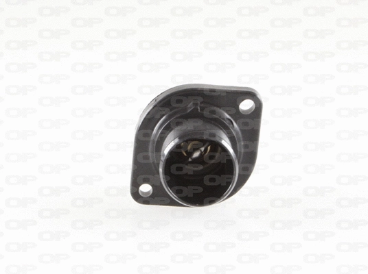 Thermostat, coolant (TRM1068.00)