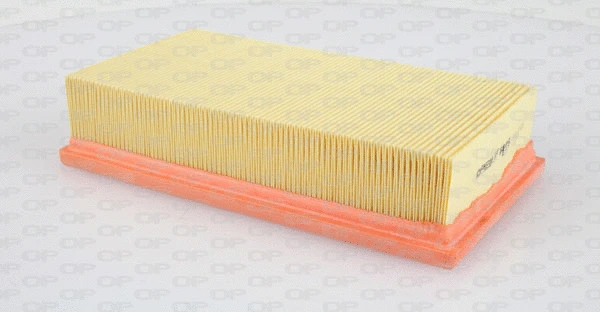 Air Filter (EAF3329.10)