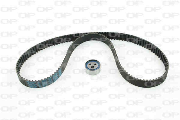 Timing Belt Kit (TBK5038.01)