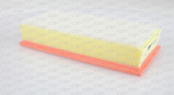 Air Filter (EAF3104.10)