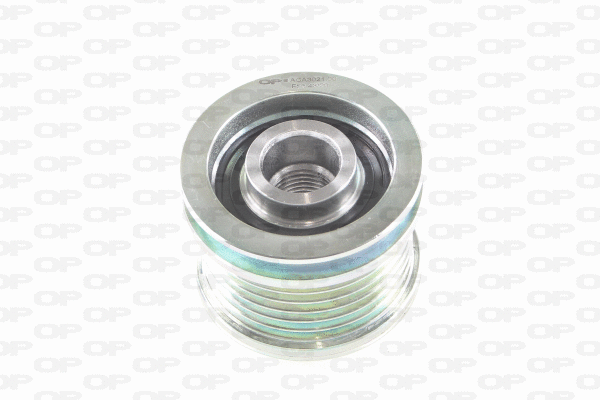Alternator Freewheel Clutch (ACA3021.00)