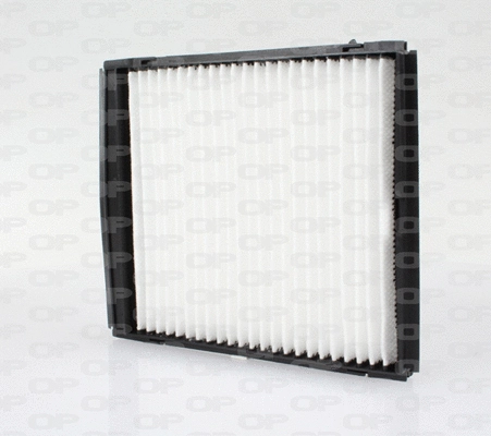 Filter, cabin air (CAF2073.01)
