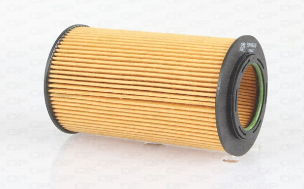 Oil Filter (EOF4162.10)