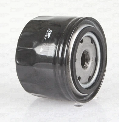Oil Filter (EOF4106.20)