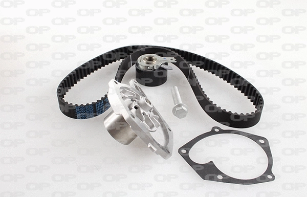 Water Pump & Timing Belt Kit (WTBK5017.00)