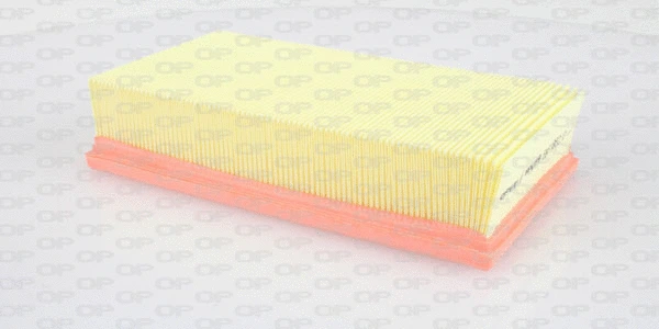 Air Filter (EAF3352.10)