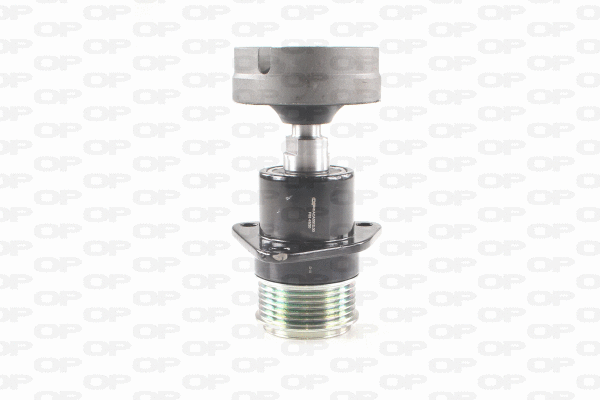 Alternator Freewheel Clutch (ACA3012.00)