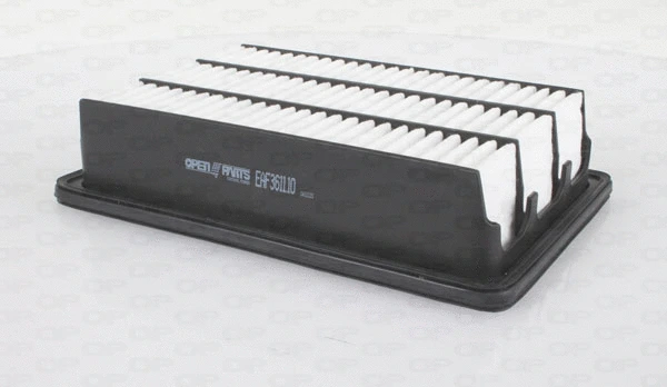 Air Filter (EAF3611.10)