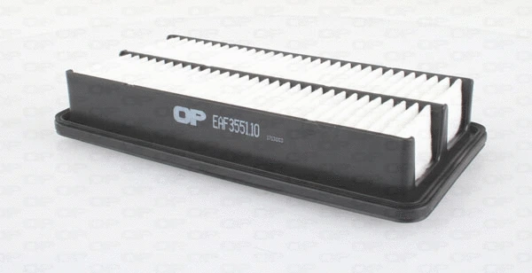 Air Filter (EAF3551.10)