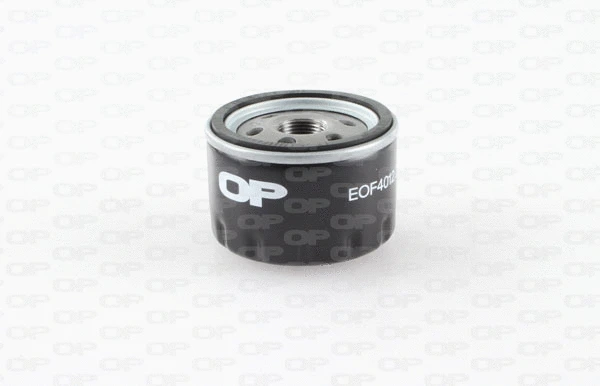 Oil Filter (EOF4012.20)