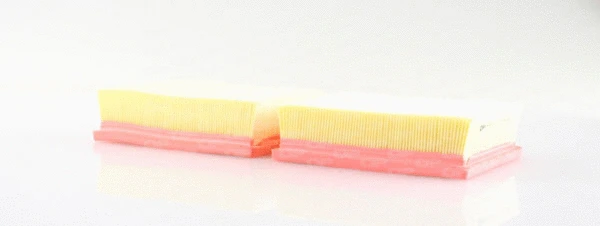 Air Filter (EAF3110.10)