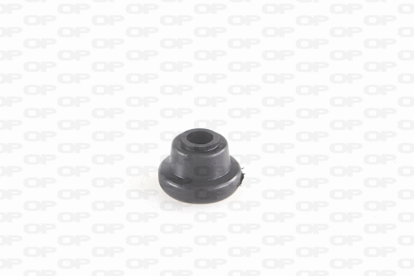 Mounting, control/trailing arm (SSS1252.11)