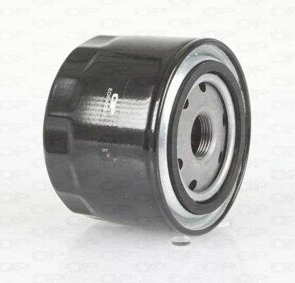 Oil Filter (EOF4056.20)