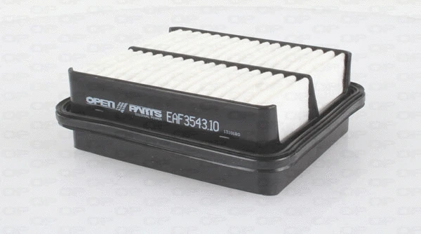 Air Filter (EAF3543.10)