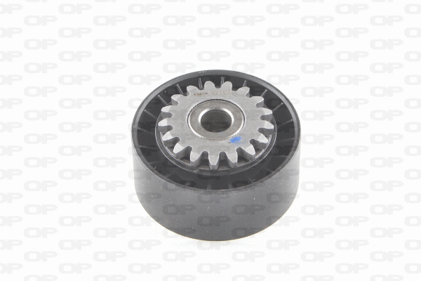 Belt Tensioner, V-ribbed belt (ACT2131.00)