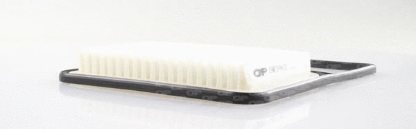 Air Filter (EAF3444.10)