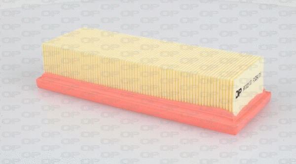 Air Filter (EAF3005.10)