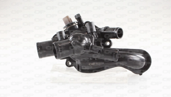 Thermostat, coolant (TRM1071.00)