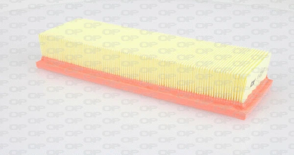 Air Filter (EAF3206.10)
