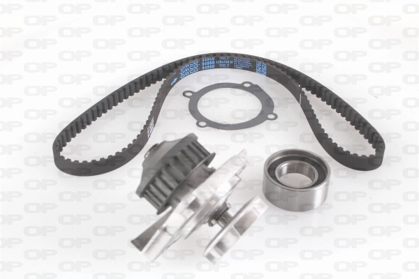 Water Pump & Timing Belt Kit (WTBK5010.00)