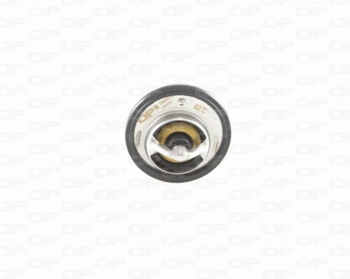 Thermostat, coolant (TRM1091.00)