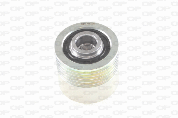 Alternator Freewheel Clutch (ACA3010.00)