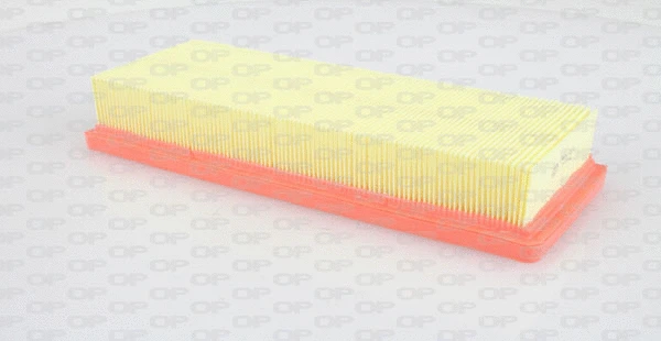 Air Filter (EAF3116.10)