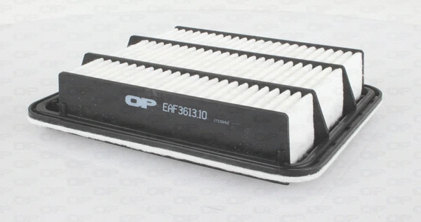 Air Filter (EAF3613.10)