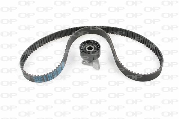 Timing Belt Kit (TBK5093.01)