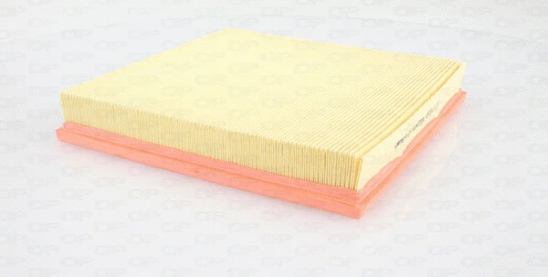 Air Filter (EAF3457.10)