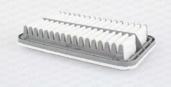 Air Filter (EAF3557.10)