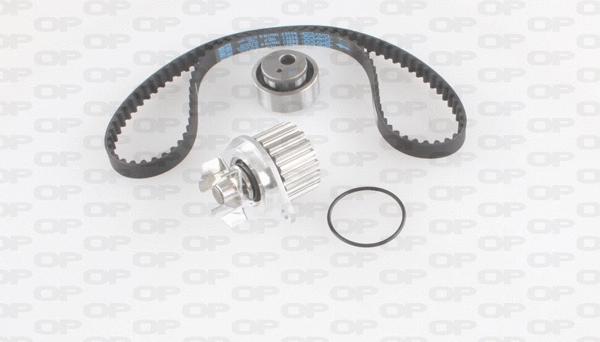 Water Pump & Timing Belt Kit (WTBK5103.00)