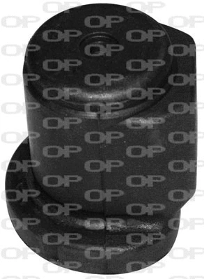 Mounting, control/trailing arm (SSS1007.11)