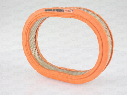 Air Filter (EAF3420.30)