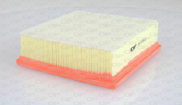 Air Filter (EAF3291.10)