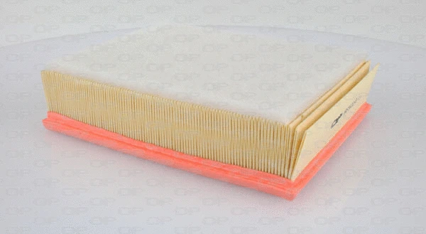Air Filter (EAF3322.10)