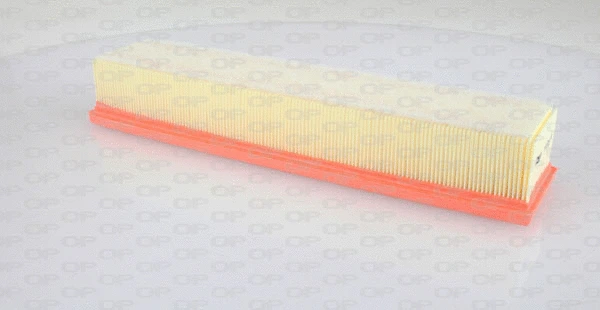 Air Filter (EAF3162.10)