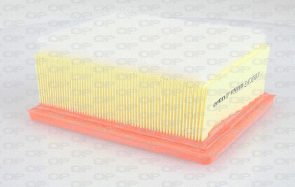 Air Filter (EAF3068.10)