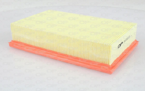 Air Filter (EAF3031.10)
